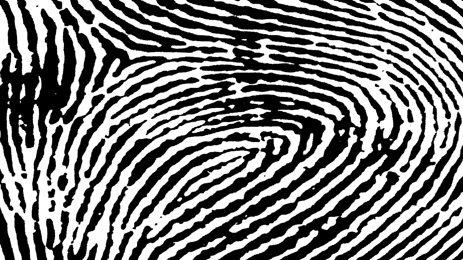 Example of a clear fingerprint impression